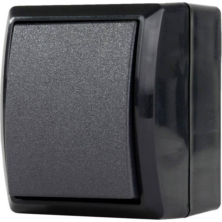 Actual product image REV Switch