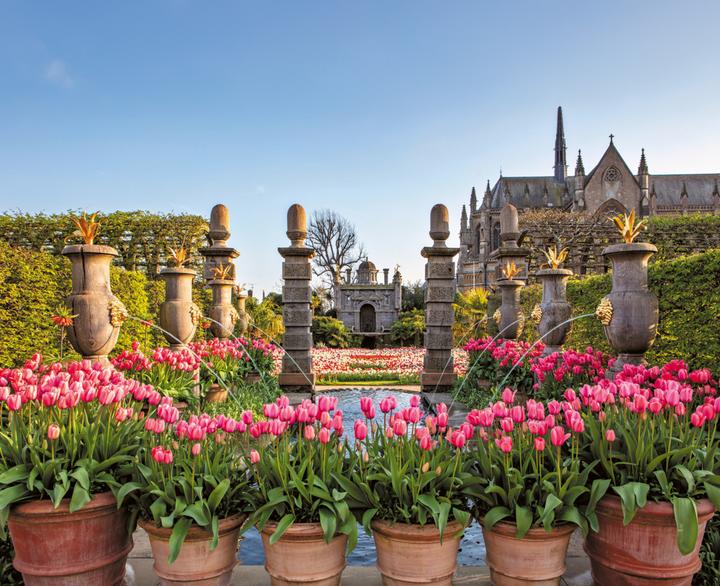 Produktbild Englische Gartenträume (Deutsch, Clive Nichols, 2024)