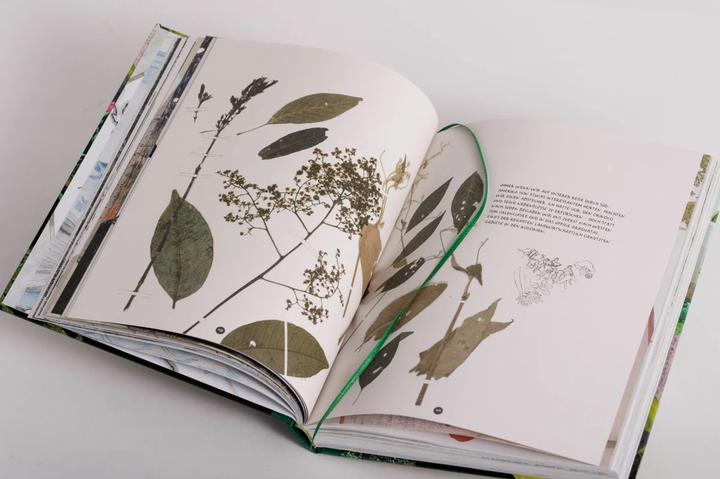 Produktbild Die Abenteuer des Alexander von Humboldt (Deutsch, Andrea Wulf, 2019)