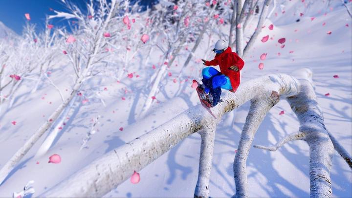 Actual product image Ubisoft Steep - Winter Games Edition (PS4, DE)