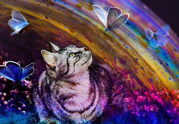 Produktbild Grafika Kids Cat and Butterflies (12 Teile)
