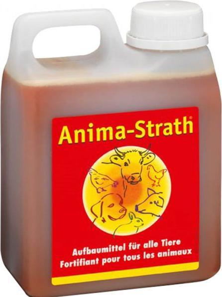 Actual product image Anima-Strath liquid, 5L + (Adult, 1 pcs., 6842 g)