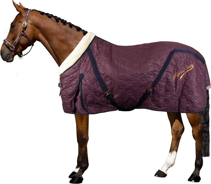 Produktbild Imperial Riding Super-dry 150 g (165 cm)