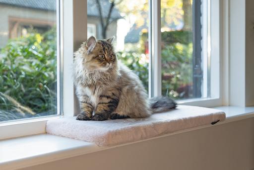 Produktbild Beeztees Fensterbankkissen Moza (Katze)