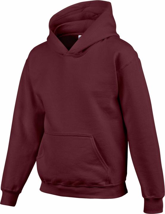 Actual product image Gildan Childrens/Kids Heavy Blend Hoodie (116)