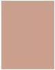 Immagine prodotto Revlon Professionale - Colourstay Pressed Powder 8.4G 850 Medio Profondo (Profonde, 850 Medio)