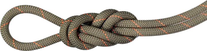 Mammut 9.9 Gym Workhorse Dry Rope (40 m)