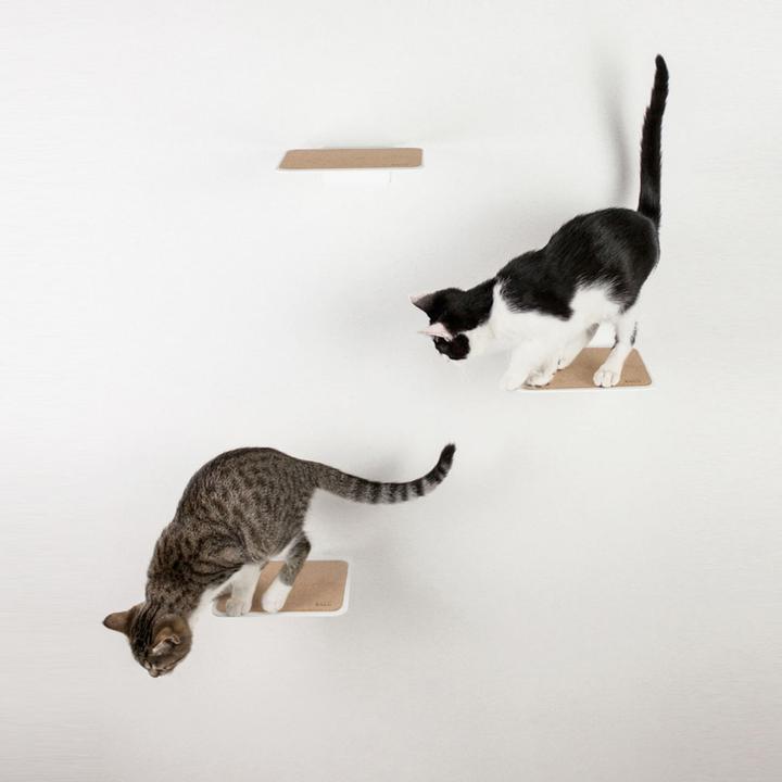 Produktbild LucyBalu STEPS Katzentreppe (5 cm, Weiss, Cork)