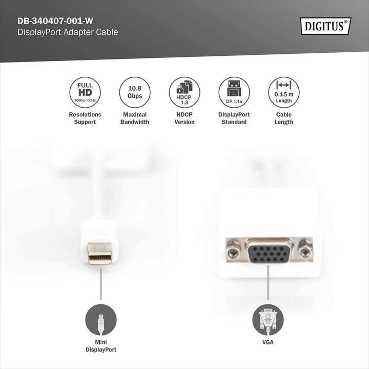 Actual product image Digitus DisplayPort adapter cable, mini DP - HD15 St/Bu DP, CE, white (Mini DP, 15 cm)