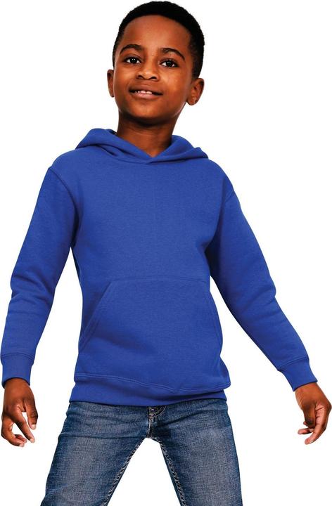 Bleu roi