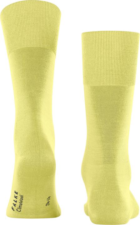 Actual product image Falke ClimaWool Men (43 - 44)