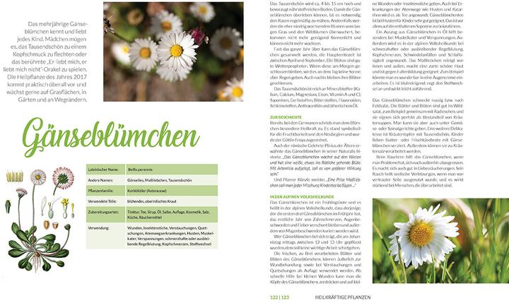 Image du produit Heilkräuter aus den Alpen (Allemand, Michaela Thöni-Kohler, 2025)