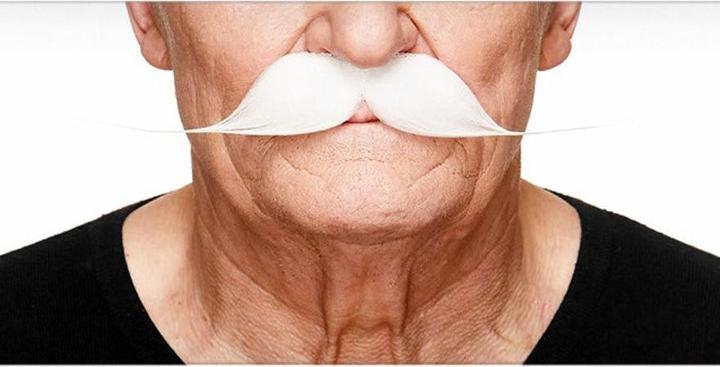 Produktbild Metamorph Englischer Moustache