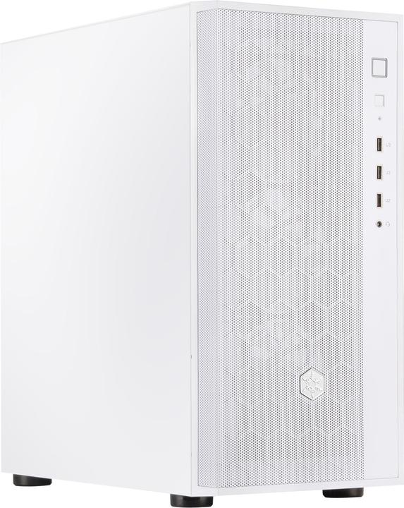 Produktbild Silverstone Fara R1 V2 Midi-Tower, Tempered Glass (mATX, ATX, Mini-ATX)
