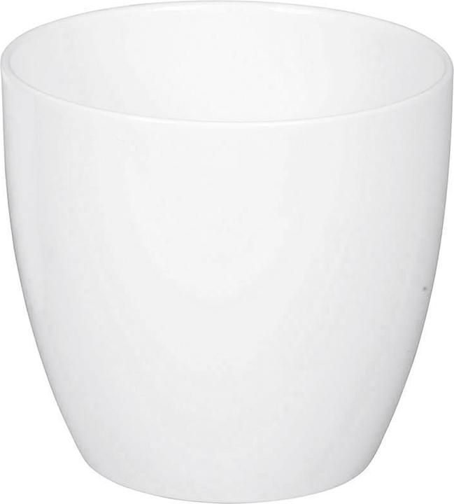 Scheurich Alaska (19 cm)