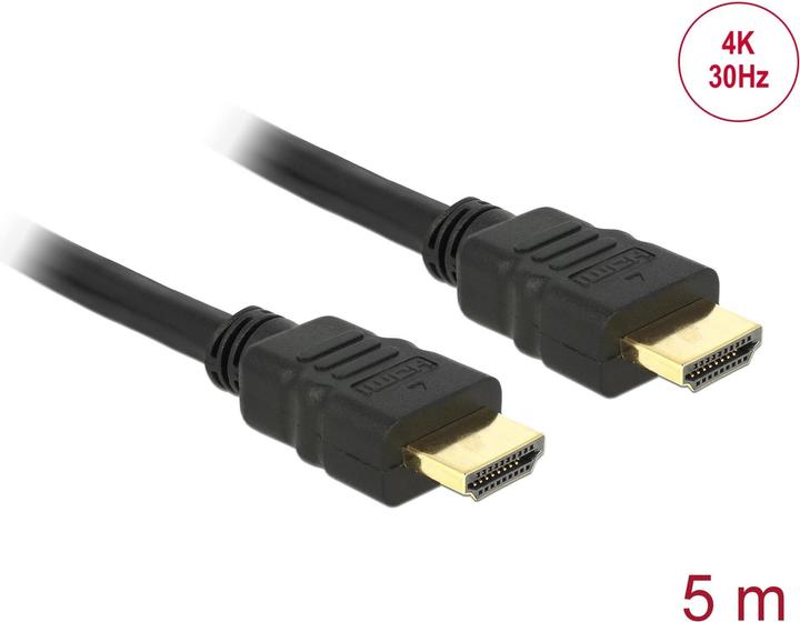 Delock HDMI (Typ A) — HDMI (Typ A) (5 m, HDMI)