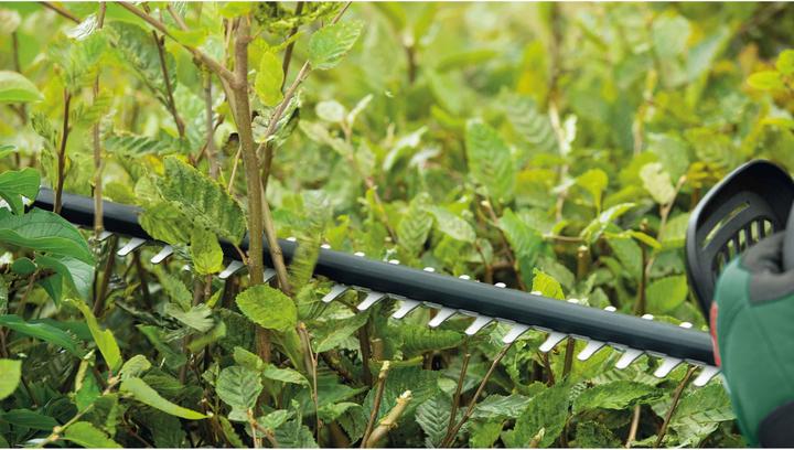 Actual product image Bosch Home & Garden UniversalHedgeCut 50 (Electric hedge trimmer)