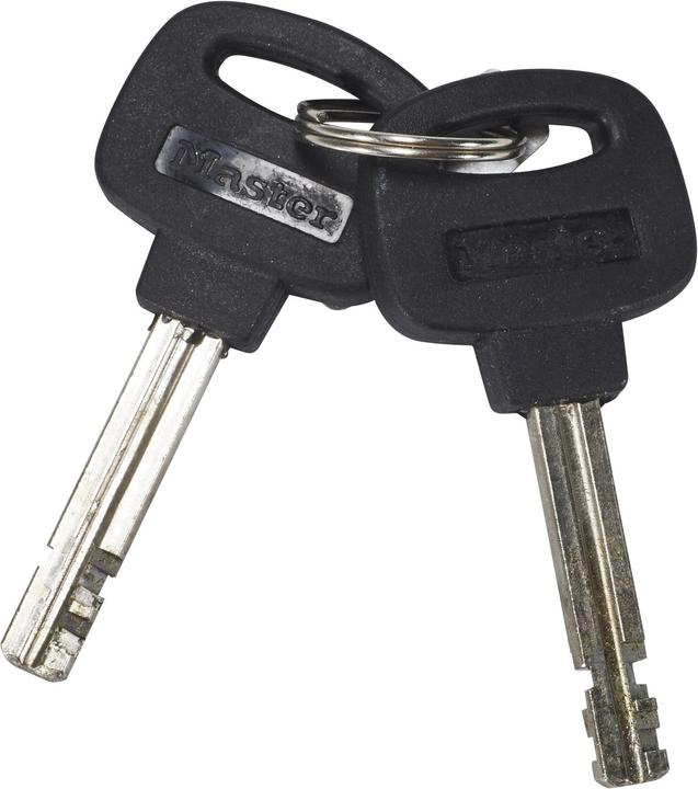 Actual product image Master Lock 8391 Chain lock 8 mm x 900 mm (90 cm)