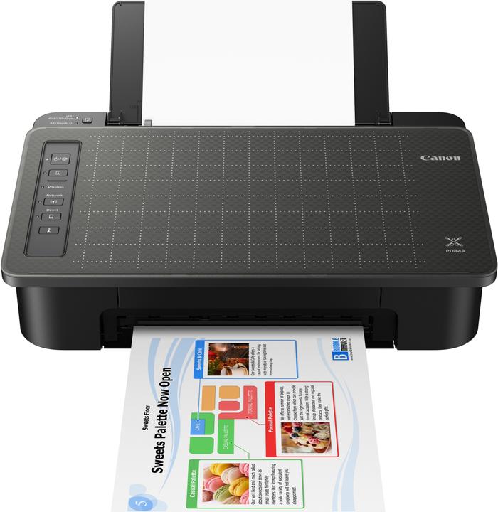 Actual product image Canon Pixma Ts305 (Ink, Colour)
