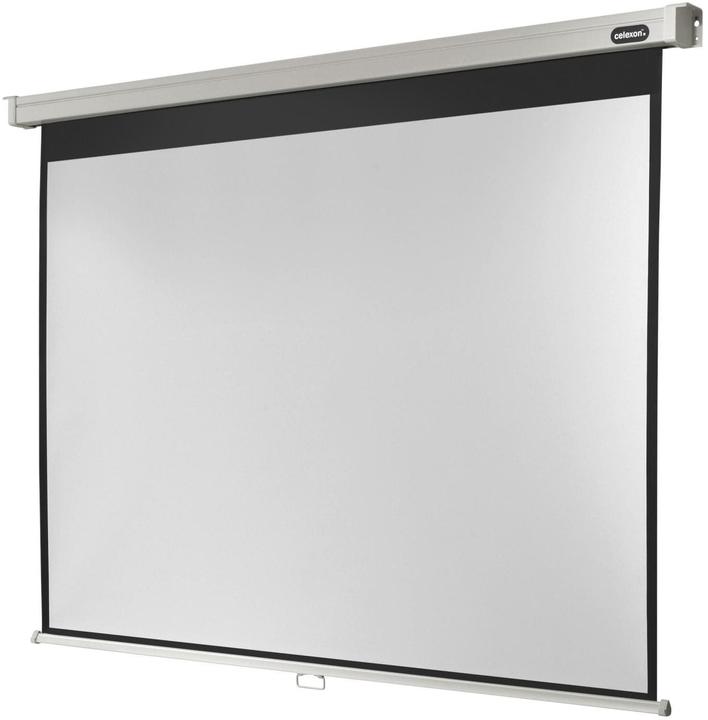 Celexon Rollo Professional, Canvas, 4:3 (117.17", 4:3)