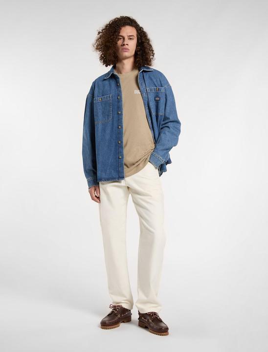 Actual product image Dickies Bricklane Ss Tee Desert Sand (L)