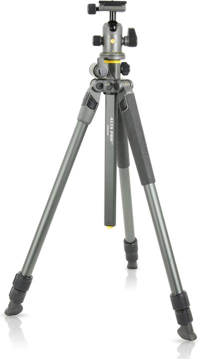Produktbild Vanguard Alta Pro 2+ 263ab 100 (Metall)