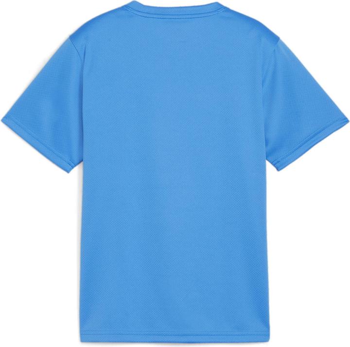 Immagine prodotto Puma Maglia TeamGOAL Jr (116)