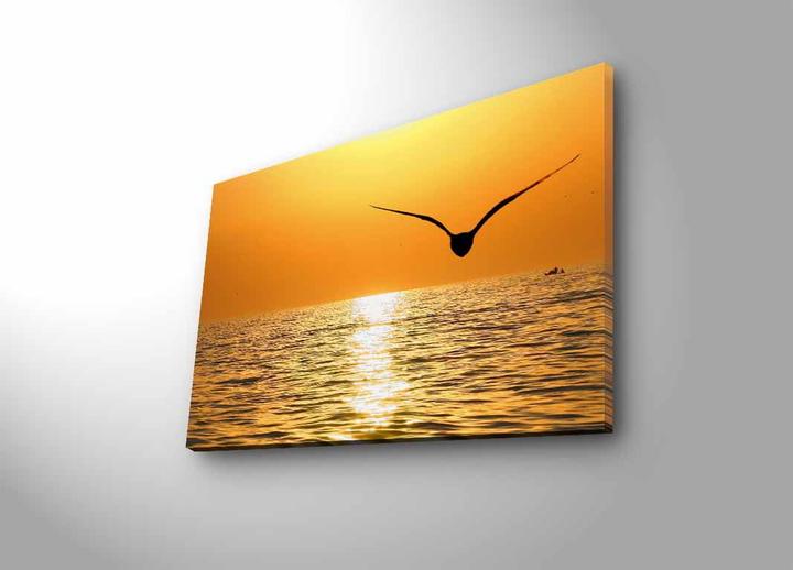 Produktbild Wallxpert Ryder (45 x 70 cm)