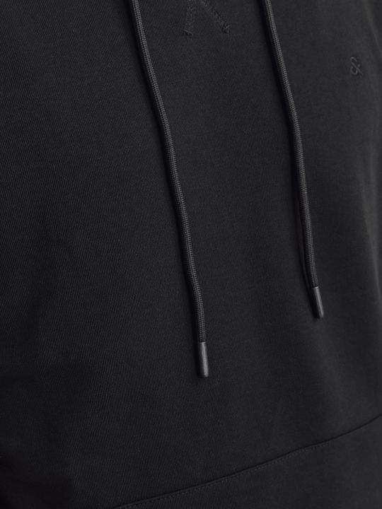 Actual product image Jack & Jones Jjepaulos Sweat Hood Noos (XS)