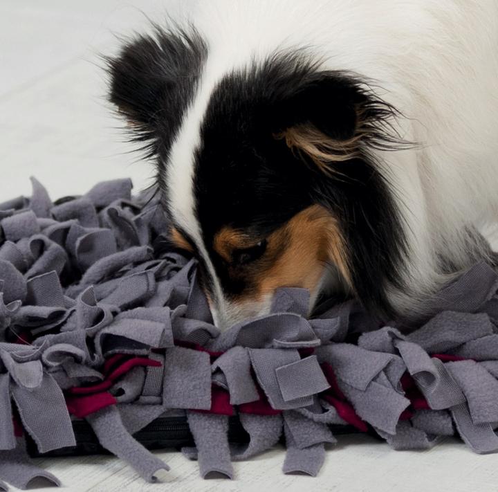 Immagine prodotto Trixie Tappeto da fiuto per le attività (Giocattolo di attività per cani)
