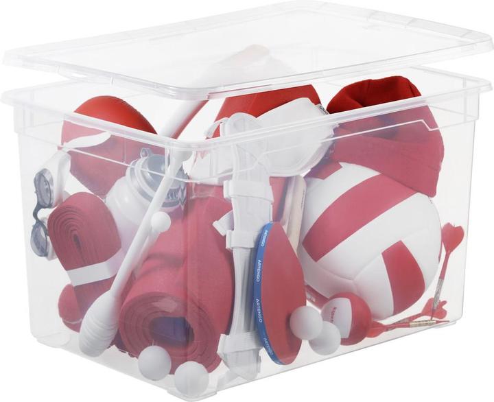 Image du produit Rotho Clair (55 x 37.5 x 32 cm, 46 l)