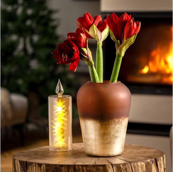 Immagine prodotto Leonardo Luce decorativa Capanna Magico 9 cm x 30 cm, oro (1 x)