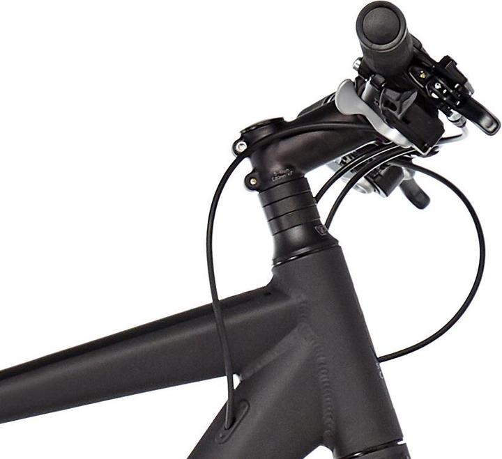 Actual product image Serious Athabasca Hybrid (60 cm)
