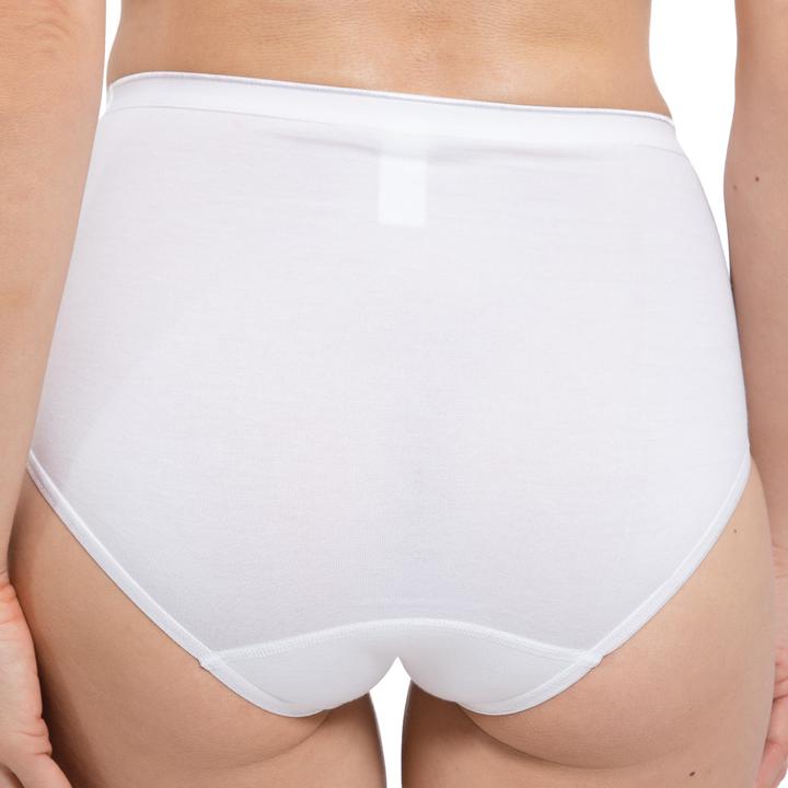 Actual product image Speidel 2-pack shape maxi briefs (46, 3XL, pack of 2)