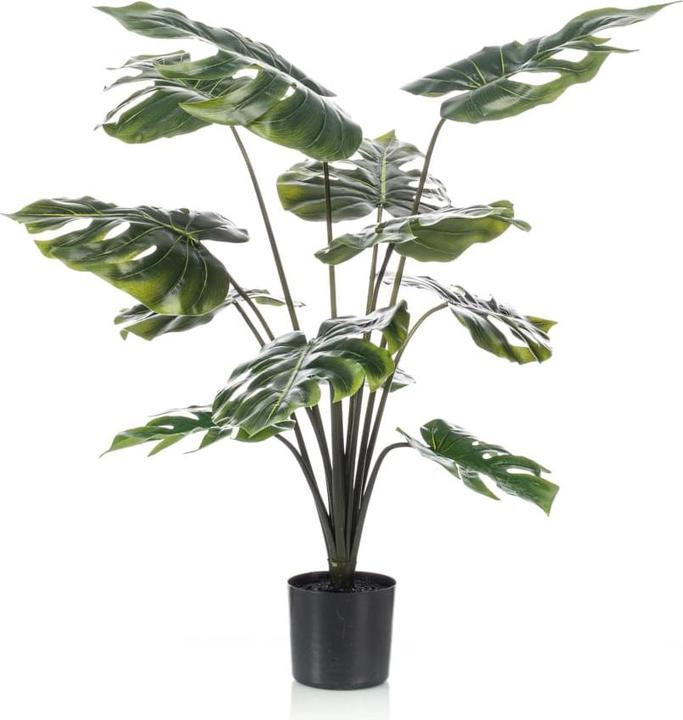 Emerald Monstera-Pflanze (98 cm)