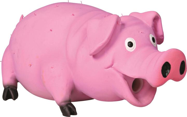 Produktbild Trixie Borstenschwein (Wurfspielzeug Hund, Kauspielzeug Hund)