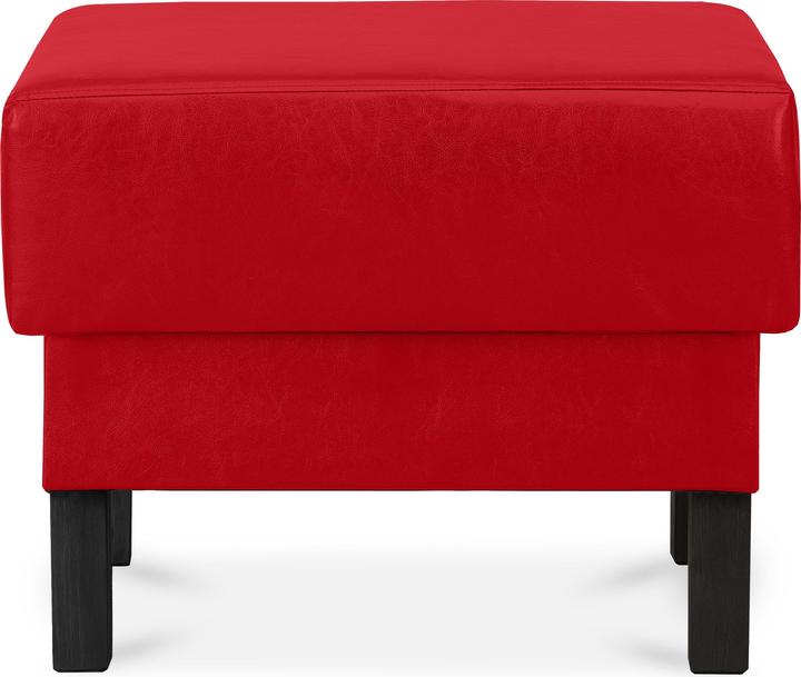 Konsimo Especto