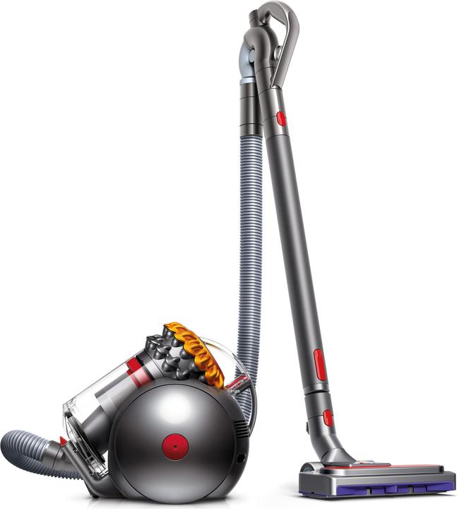 Actual product image Dyson Big Ball Allergy 2