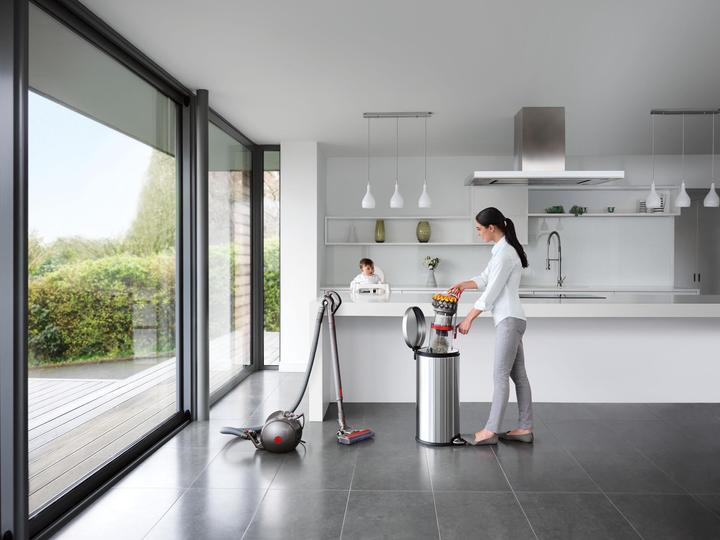 Actual product image Dyson Big Ball Allergy 2