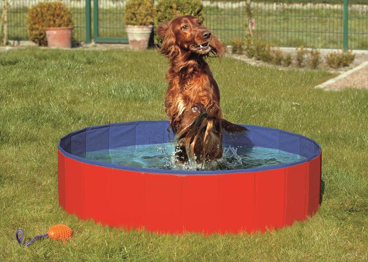 Image du produit Josty Piscine (Piscine pour chiens)