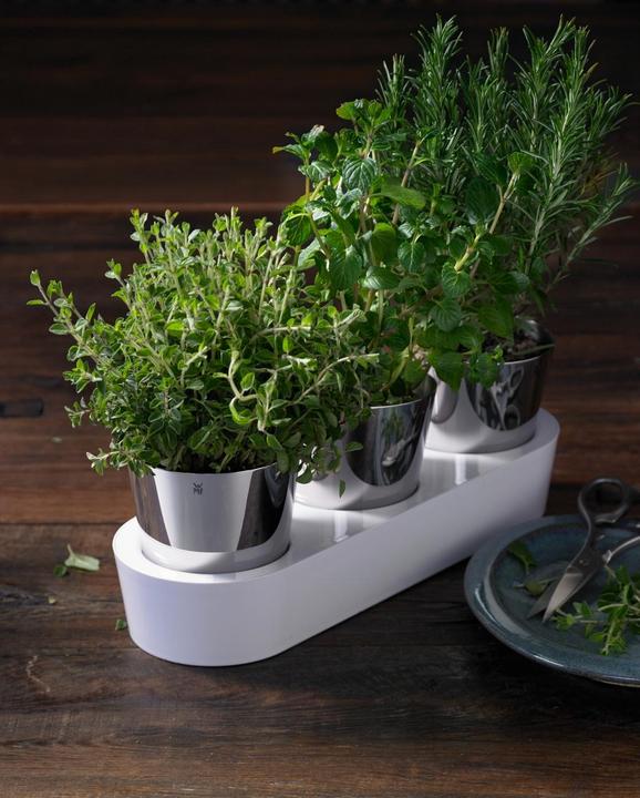 Actual product image WMF herb garden (14 cm)