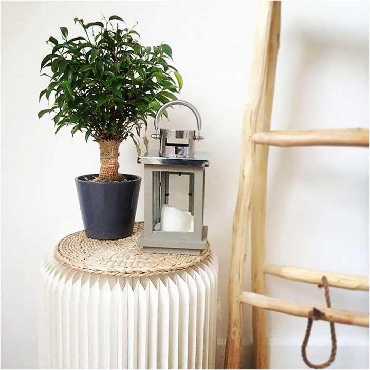 Image du produit Stooly Tabouret