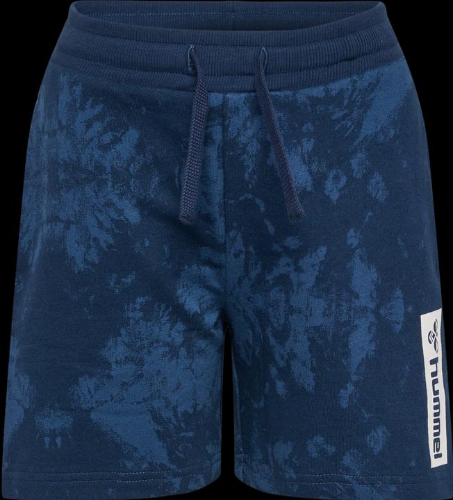Actual product image hummel Hmljump Aop Shorts (152)