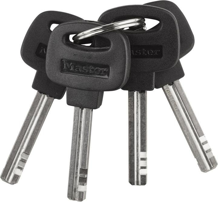 Image du produit Master Lock 8234 Eurdpro (90 cm)