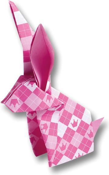 Produktbild Folia Faltblätter Kinderspass (80 g/m², 50 x)