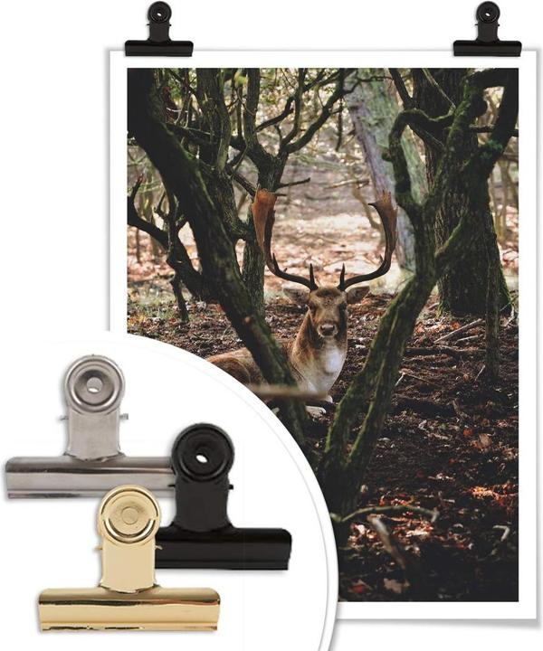 Actual product image Trenddeko Break in the forest (24 x 30 cm)