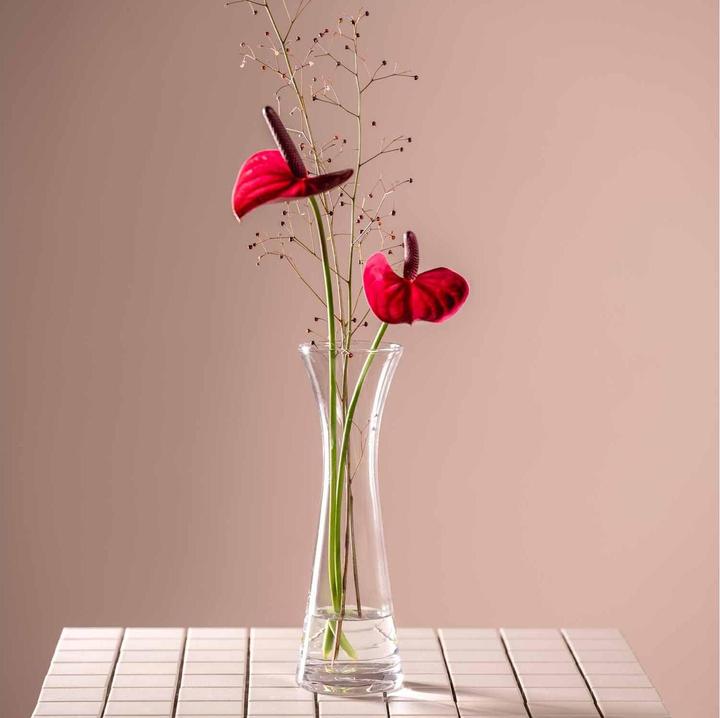 Image du produit Leonardo Vase Gia 26 cm, Transparent (1 x, 26 x 8 x 26 cm, 2146.50 l)