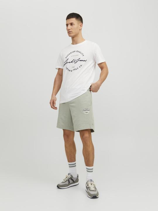 Actual product image Jack & Jones Shorts (S)