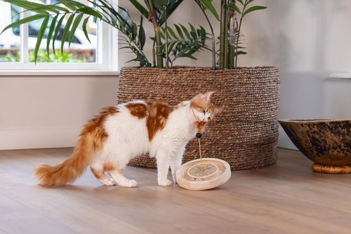 Actual product image Designed by Lotte Winni (Catmint toy)