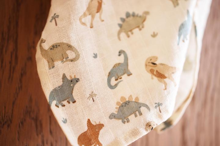 Image du produit Jollein Lot de 3 bavoirs Dino Petit (31 cm, 31 cm)